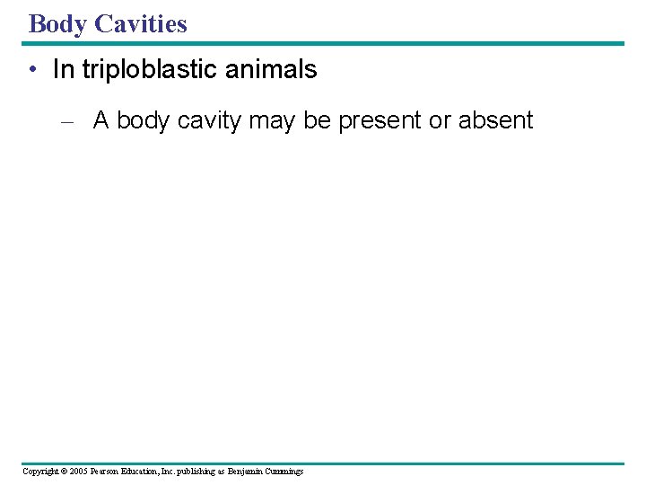 Body Cavities • In triploblastic animals – A body cavity may be present or