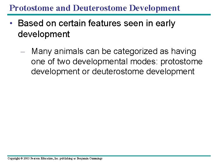 Protostome and Deuterostome Development • Based on certain features seen in early development –