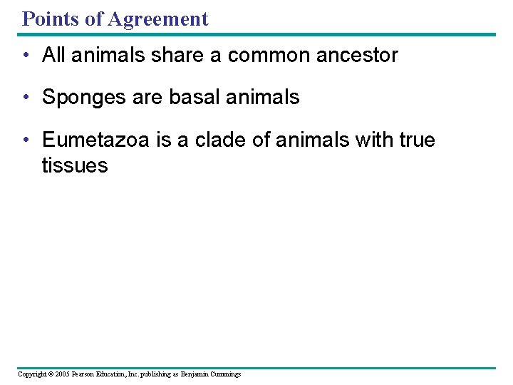 Points of Agreement • All animals share a common ancestor • Sponges are basal