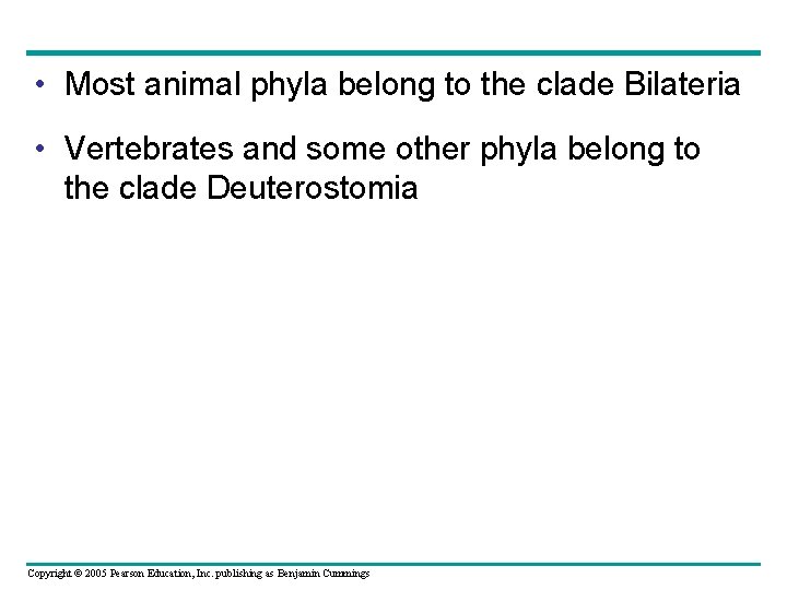  • Most animal phyla belong to the clade Bilateria • Vertebrates and some