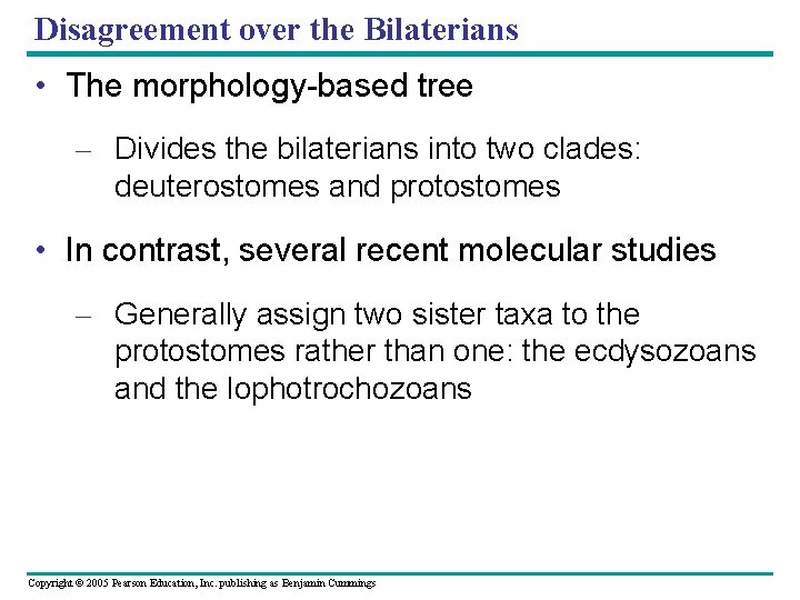 Disagreement over the Bilaterians • The morphology-based tree – Divides the bilaterians into two