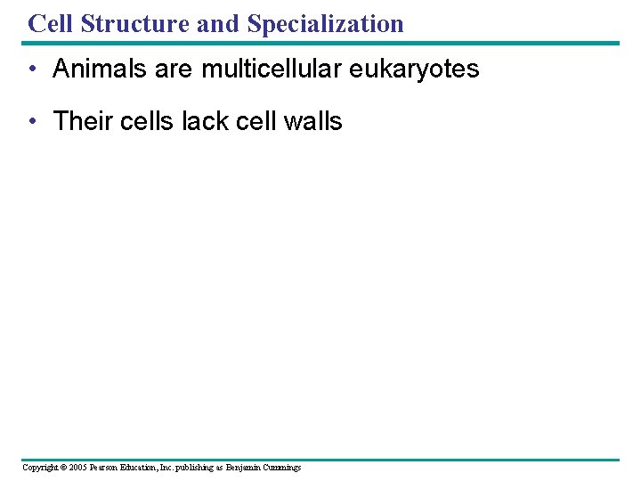 Cell Structure and Specialization • Animals are multicellular eukaryotes • Their cells lack cell