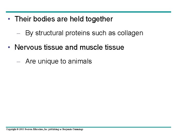  • Their bodies are held together – By structural proteins such as collagen