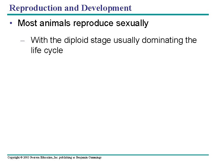 Reproduction and Development • Most animals reproduce sexually – With the diploid stage usually