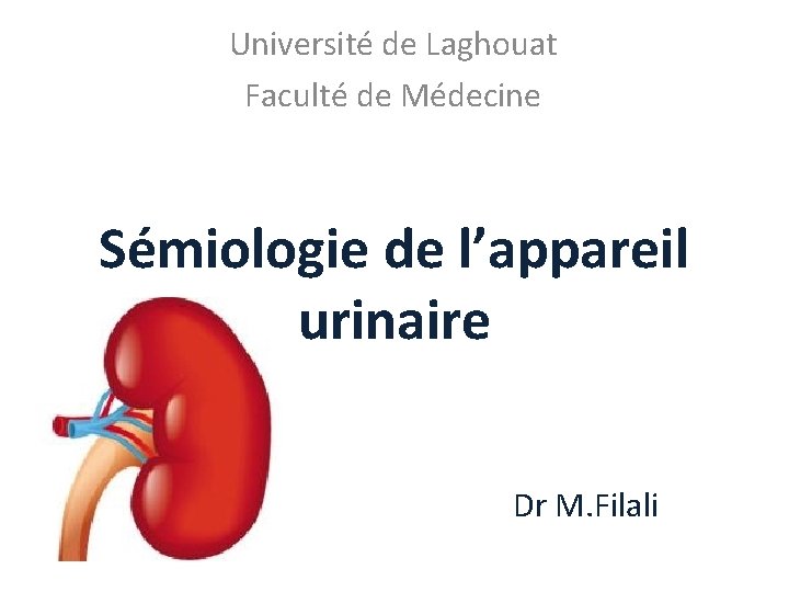 Université de Laghouat Faculté de Médecine Sémiologie de l’appareil urinaire Dr M. Filali 