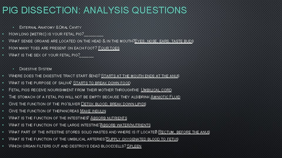 PIG DISSECTION: ANALYSIS QUESTIONS • EXTERNAL ANATOMY &ORAL CAVITY • HOW LONG (METRIC) IS