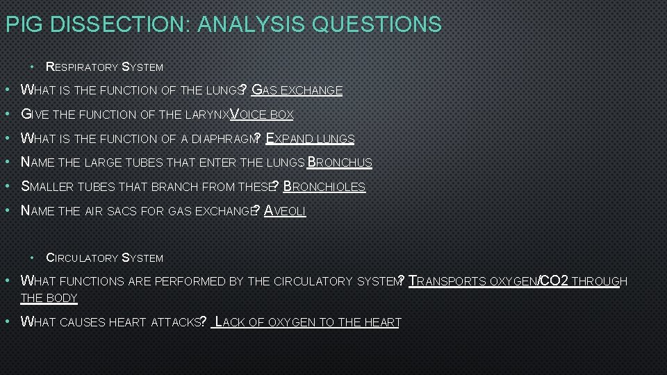 PIG DISSECTION: ANALYSIS QUESTIONS • RESPIRATORY SYSTEM • WHAT IS THE FUNCTION OF THE