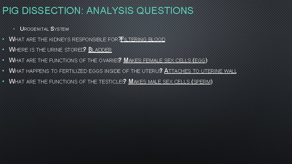 PIG DISSECTION: ANALYSIS QUESTIONS • UROGENITAL SYSTEM • WHAT ARE THE KIDNEYS RESPONSIBLE FOR? PIG DISSECTION: ANALYSIS QUESTIONS • UROGENITAL SYSTEM • WHAT ARE THE KIDNEYS RESPONSIBLE FOR?