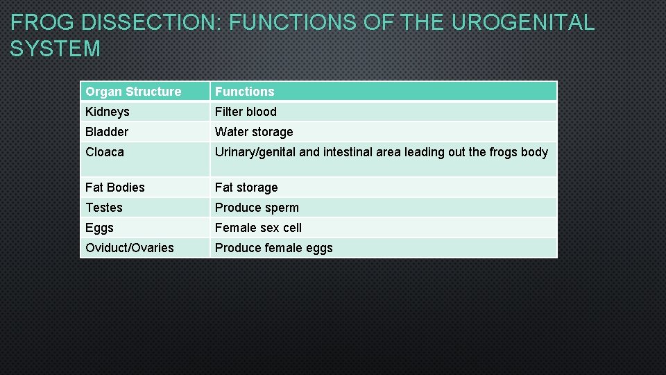 FROG DISSECTION: FUNCTIONS OF THE UROGENITAL SYSTEM Organ Structure Functions Kidneys Filter blood Bladder