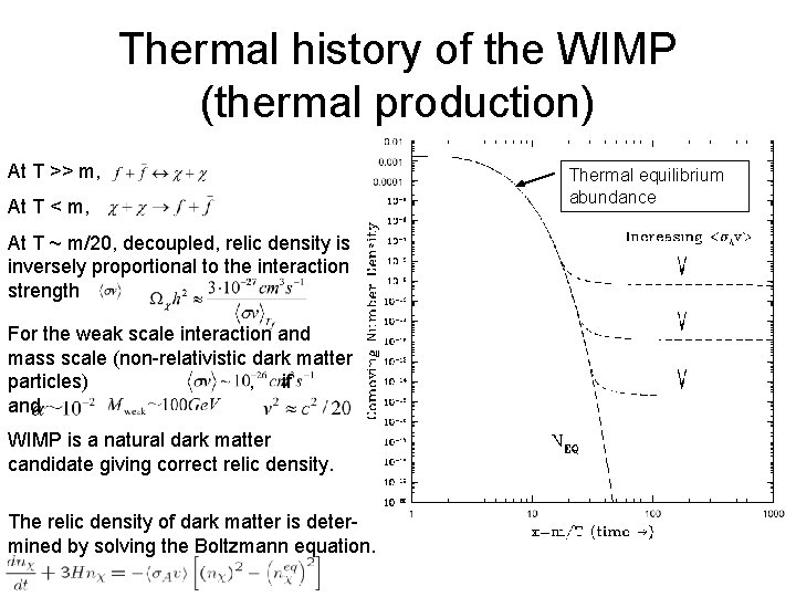 Thermal history of the WIMP (thermal production) At T >> m, At T <