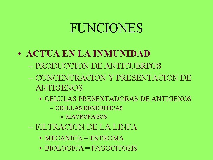 FUNCIONES • ACTUA EN LA INMUNIDAD – PRODUCCION DE ANTICUERPOS – CONCENTRACION Y PRESENTACION