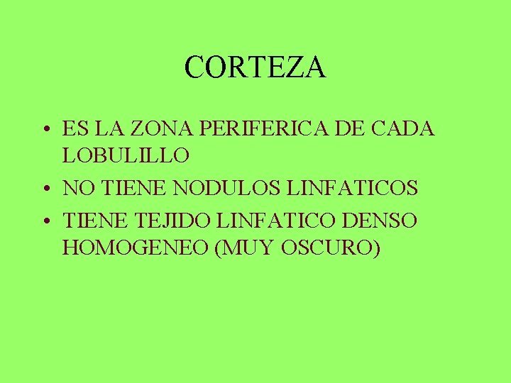 CORTEZA • ES LA ZONA PERIFERICA DE CADA LOBULILLO • NO TIENE NODULOS LINFATICOS