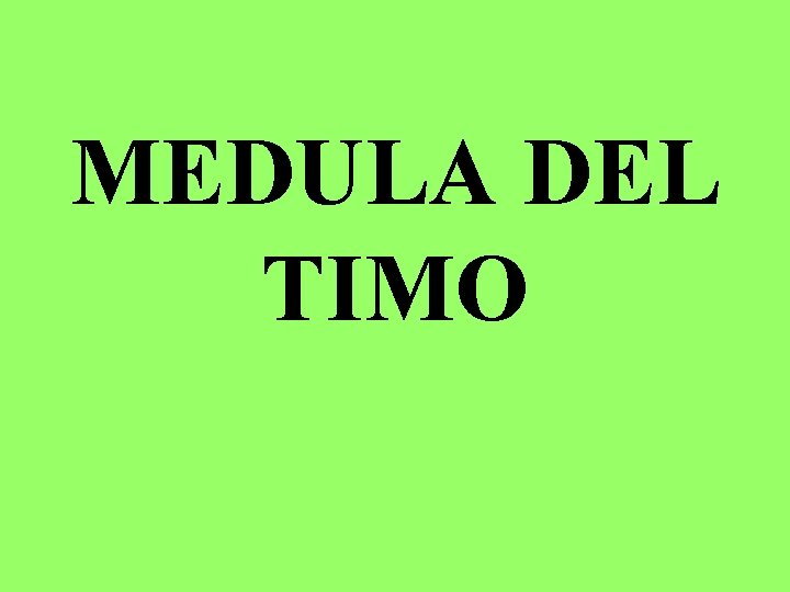 MEDULA DEL TIMO 