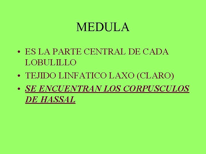 MEDULA • ES LA PARTE CENTRAL DE CADA LOBULILLO • TEJIDO LINFATICO LAXO (CLARO)
