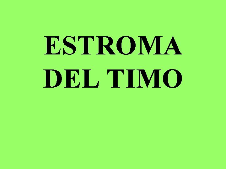 ESTROMA DEL TIMO 