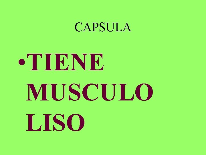 CAPSULA • TIENE MUSCULO LISO 