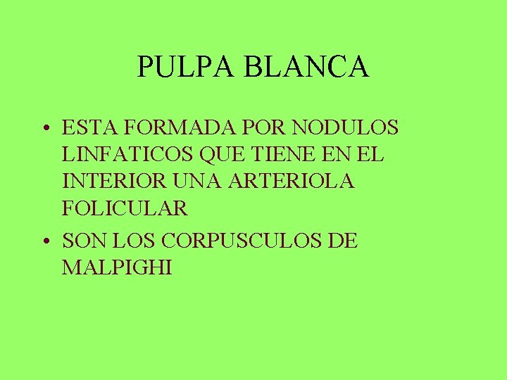 PULPA BLANCA • ESTA FORMADA POR NODULOS LINFATICOS QUE TIENE EN EL INTERIOR UNA