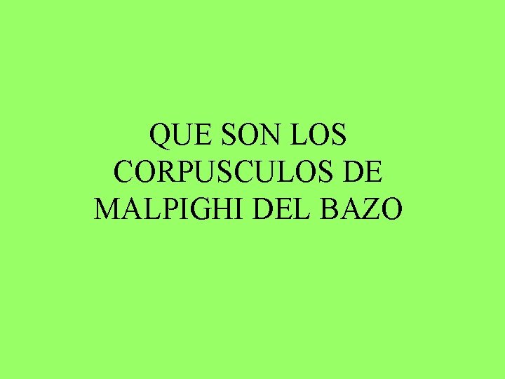 QUE SON LOS CORPUSCULOS DE MALPIGHI DEL BAZO 