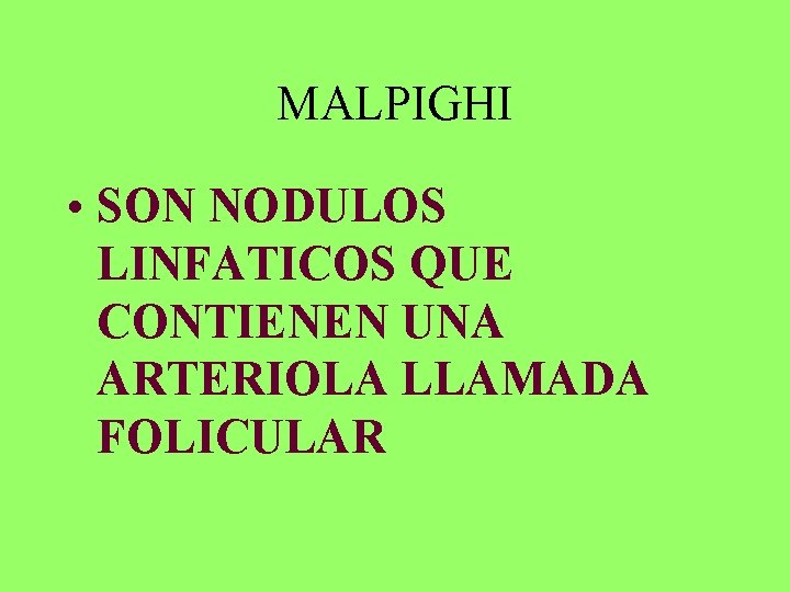 MALPIGHI • SON NODULOS LINFATICOS QUE CONTIENEN UNA ARTERIOLA LLAMADA FOLICULAR 