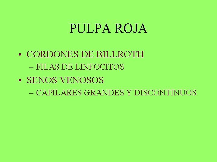 PULPA ROJA • CORDONES DE BILLROTH – FILAS DE LINFOCITOS • SENOS VENOSOS –