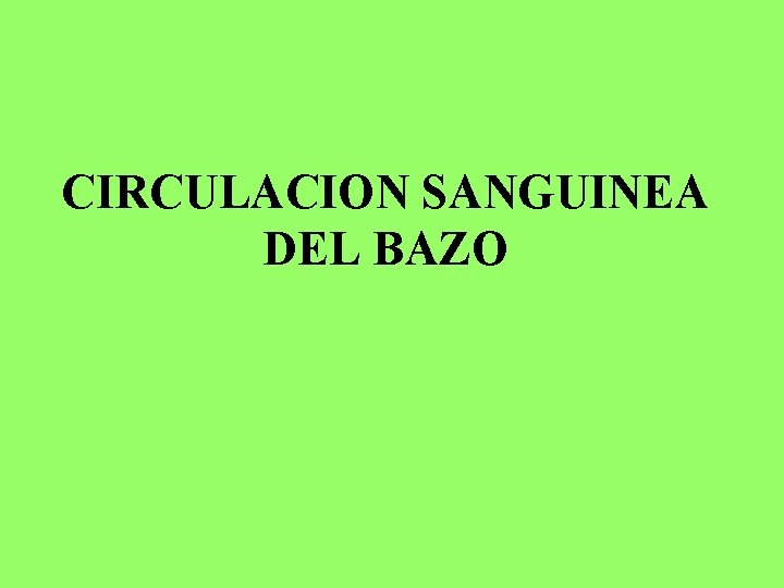 CIRCULACION SANGUINEA DEL BAZO 