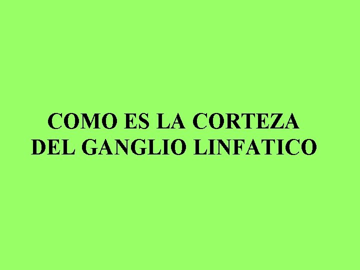 COMO ES LA CORTEZA DEL GANGLIO LINFATICO 