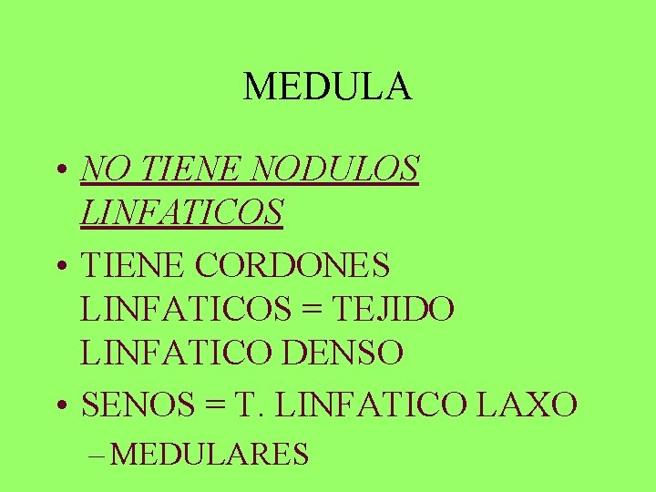 MEDULA • NO TIENE NODULOS LINFATICOS • TIENE CORDONES LINFATICOS = TEJIDO LINFATICO DENSO