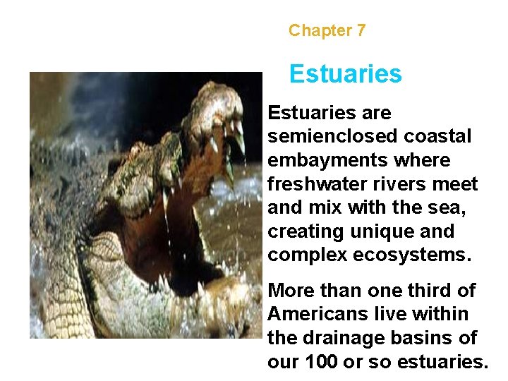 Chapter 7 Estuaries are semienclosed coastal embayments where freshwater rivers meet and mix with
