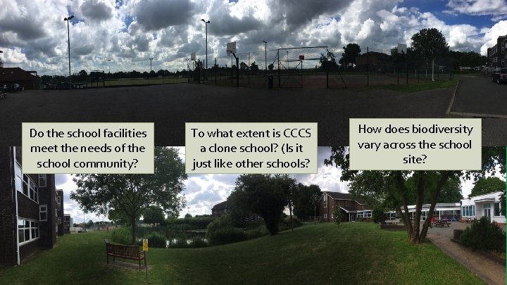 Do the school facilities meet the needs of the school community? To what extent