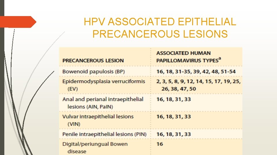 HPV ASSOCIATED EPITHELIAL PRECANCEROUS LESIONS 