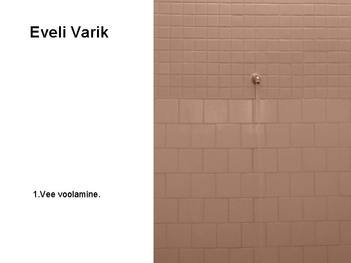 Eveli Varik 1. Vee voolamine. 