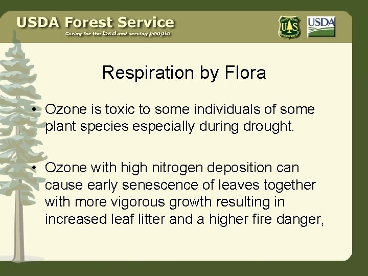 Respiration by Flora • Ozone is toxic to some individuals of some plant species