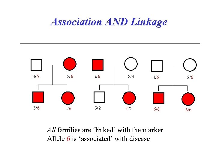 Association AND Linkage 3/5 3/6 2/6 5/6 3/2 2/4 6/2 4/6 6/6 All families