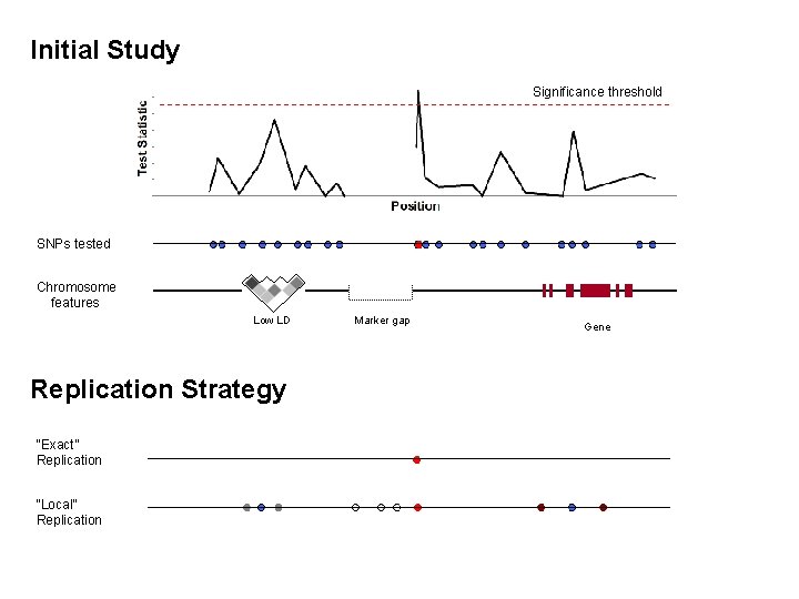 Initial Study Significance threshold SNPs tested Chromosome features Low LD Replication Strategy “Exact” Replication