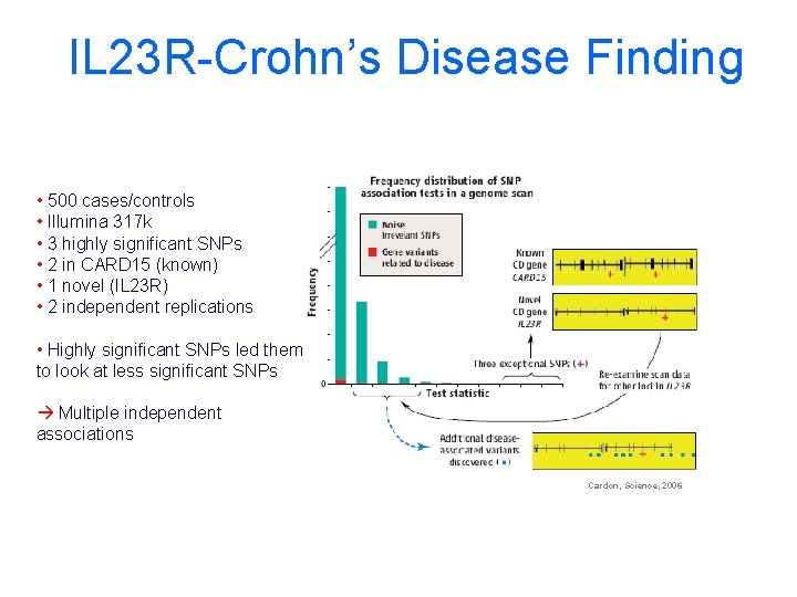 IL 23 R-Crohn’s Disease Finding • 500 cases/controls • Illumina 317 k • 3