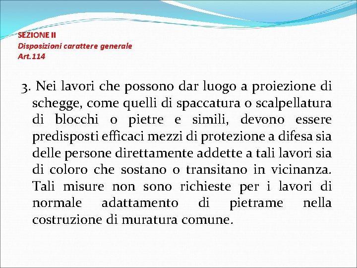 SEZIONE II Disposizioni carattere generale Art. 114 3. Nei lavori che possono dar luogo