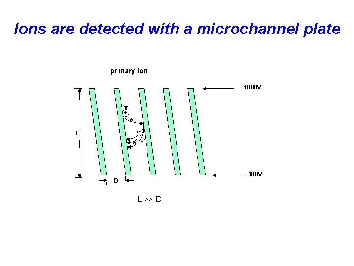 Ions are detected with a microchannel plate primary ion -1000 V + ee- L