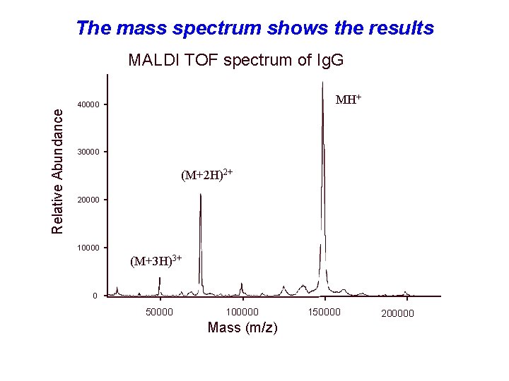 The mass spectrum shows the results Relative Abundance MALDI TOF spectrum of Ig. G