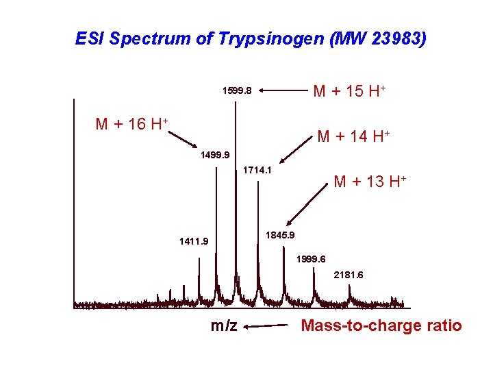 ESI Spectrum of Trypsinogen (MW 23983) M + 15 H+ 1599. 8 M +