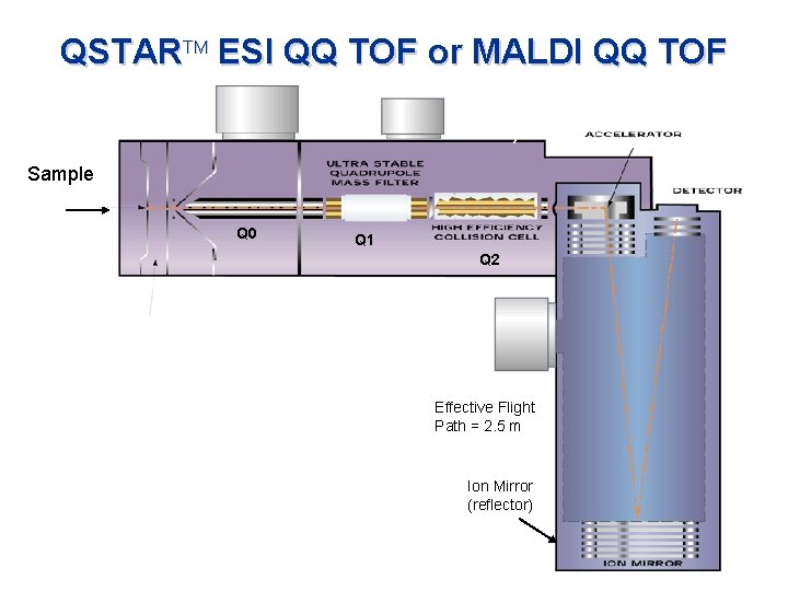 QSTARTM ESI QQ TOF or MALDI QQ TOF Sample Q 0 Q 1 Q