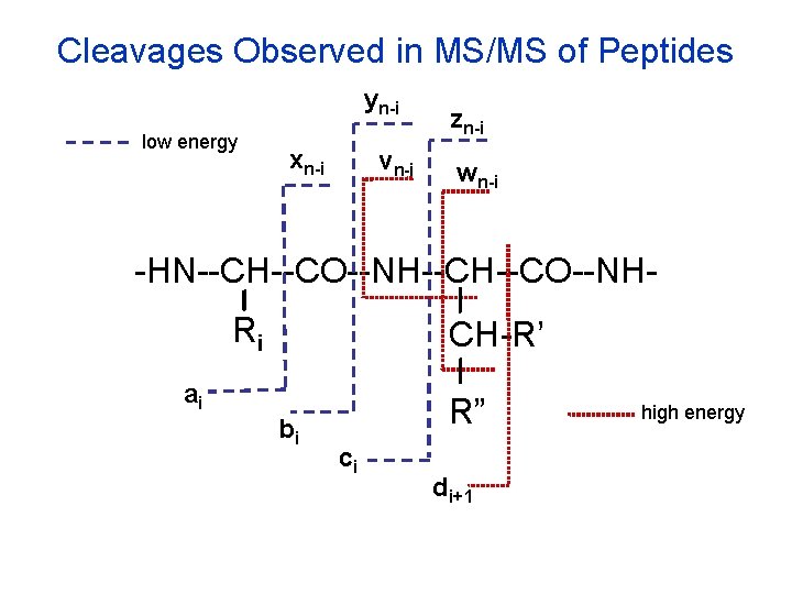 Cleavages Observed in MS/MS of Peptides yn-i low energy xn-i vn-i zn-i wn-i -HN--CH--CO--NHRi