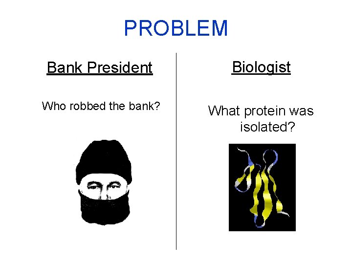 PROBLEM Bank President Biologist Who robbed the bank? What protein was isolated? 