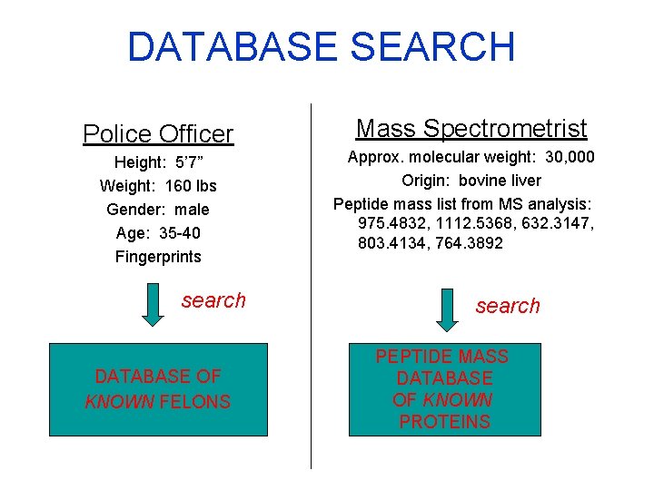 DATABASE SEARCH Police Officer Height: 5’ 7” Weight: 160 lbs Gender: male Age: 35