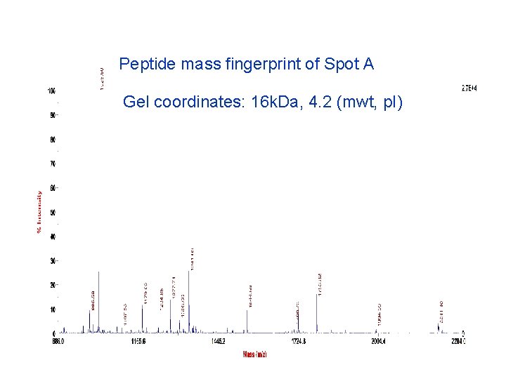 Peptide mass fingerprint of Spot A Gel coordinates: 16 k. Da, 4. 2 (mwt,