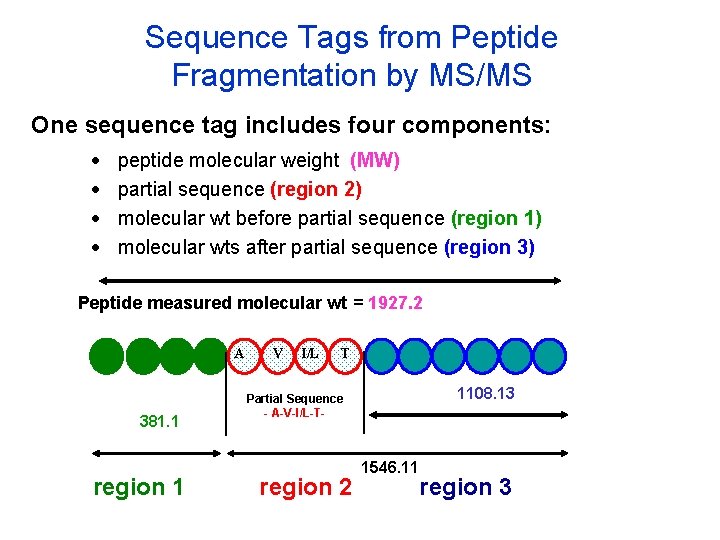 Sequence Tags from Peptide Fragmentation by MS/MS One sequence tag includes four components: ·