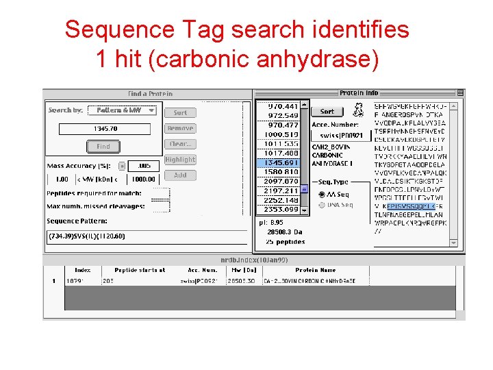 Sequence Tag search identifies 1 hit (carbonic anhydrase) 