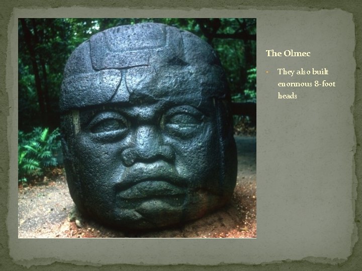 The Olmec • They also built enormous 8 -foot heads 