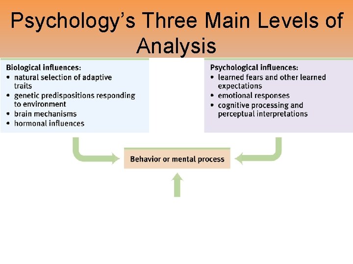 Psychology’s Three Main Levels of Analysis 