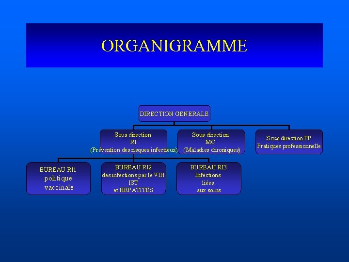 ORGANIGRAMME DIRECTION GENERALE Sous direction RI MC (Prévention des risques infectieux) (Maladies chroniques) BUREAU