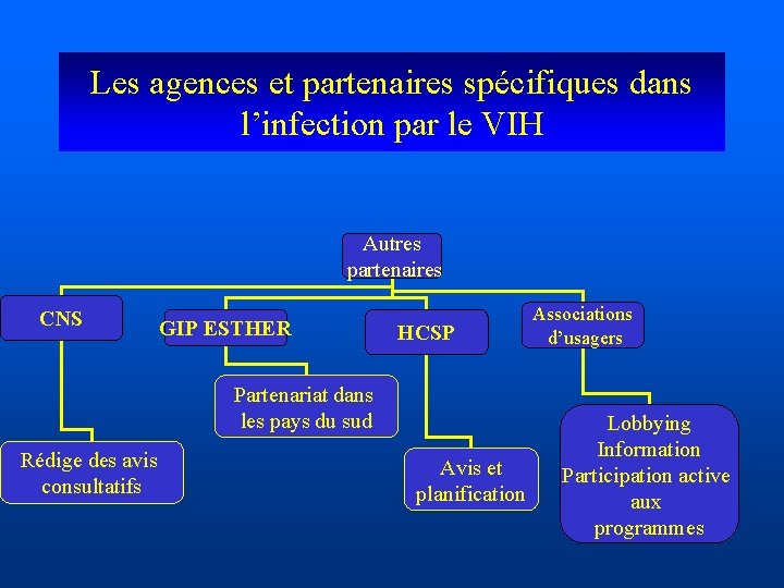 Les agences et partenaires spécifiques dans l’infection par le VIH Autres partenaires CNS GIP